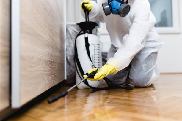 Best Pest Control for Homes  in Cascade Valley, WA